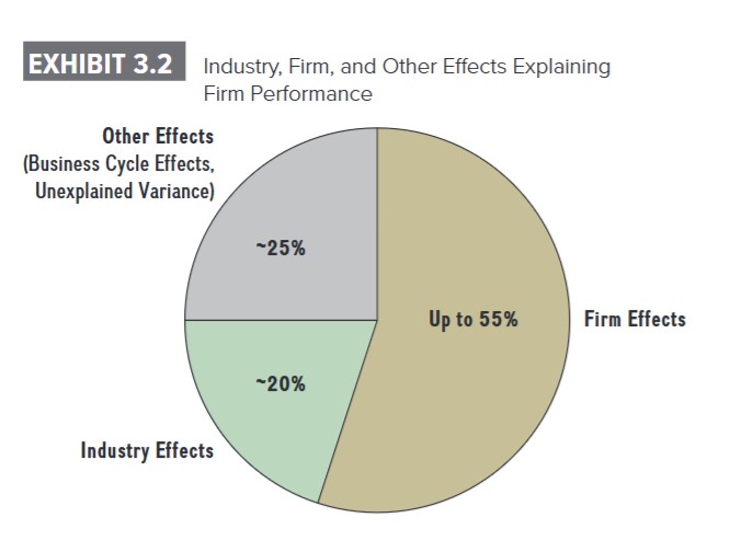 Pie chart showing Firm Effects (up to 55%), Industry Effects (~20%), and Other Effects (~25%) explaining firm performance.